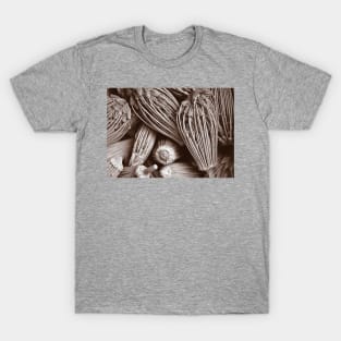 Seed Heads - a sepia-tinted image T-Shirt